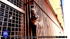웅담 채취용 곰 사육 40년 만에 '전면 금지'