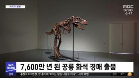 [이 시각 세계] 7,600만 년 된 공룡 화석 경매 출품
