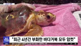 [이 시각 세계] 