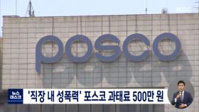 '직장 내 성희롱' 포스코에 과태료 500만 원
