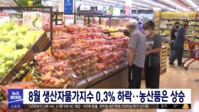 8월 생산자물가지수 0.3% 하락‥농산품은 상승