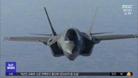 F35A 추가 도입 예산 '싹둑', 이유는?