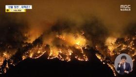 산불로 59차례 전기 공급 차질‥'주변 나무만 벨 뿐' 대책 없는 한전