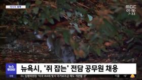 [이 시각 세계] 뉴욕시, '쥐 잡는' 전담 공무원 채용