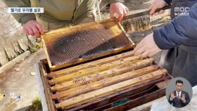 [집중취재M] 꿀벌 실종 사건의 숨겨진 범인? 무차별 살포가 생태계·건강 위협