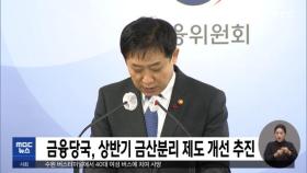 금융당국, 상반기 금산분리 제도 개선 추진