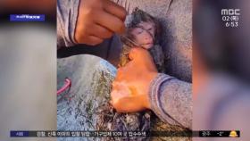 [와글와글] 그물에 뒤엉킨 아기 원숭이에 손 내민 남성