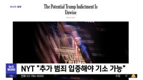[이 시각 세계] 뉴욕타임스 칼럼 