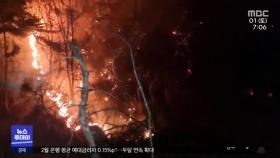 되살아난 '담뱃불 산불'‥5시간 만에 진화
