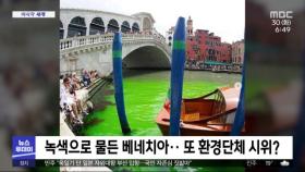 [이 시각 세계] 녹색으로 물든 베네치아‥또 환경단체 시위?