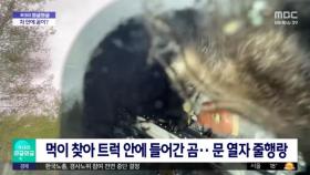 [와글와글] 먹이 찾아 트럭 안에 들어간 곰‥문 열자 줄행랑