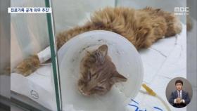 병원에서 세상 떠난 '나나'‥진료기록은 못 준다