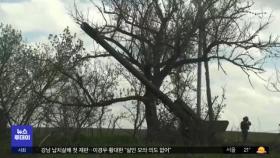 우크라 
