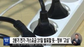 2분기 전기·가스요금 31일 발표할 듯‥정부 '고심'