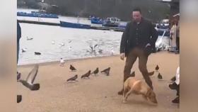 [와글와글] 영국 총리, 공원서 개 목줄 풀었다 경찰 지적받아
