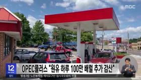 OPEC플러스 