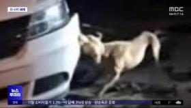 [이 시각 세계] 이탈리아 남부서 차량 타이어 '펑크' 잇따라