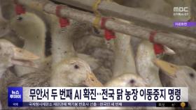 무안서 두 번째 AI 확진‥전국 닭 농장 이동중지 명령
