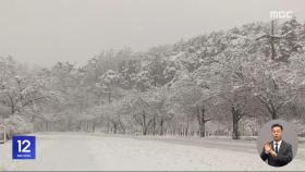 강원 산지·해안 많은 눈‥최대 40cm 예상