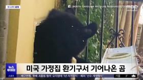 [이 시각 세계] 미국 가정집 환기구서 기어 나온 곰