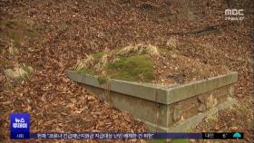 국립공원에 묘지 수만 기‥'파묘'는 하세월