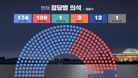 민주·연합 174 국민·미래 109 조국혁신당 12‥현재 정당별 의석