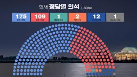 민주·연합 175 국민·미래 109 조국혁신당 12‥현재 정당별 의석