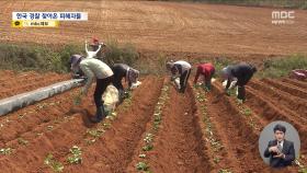 베트남 TV까지 나온 한국 '계절노동' 사기‥단체 소송으로 번져