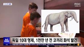 [이 시각 세계] 독일 10대 형제, 1천만 년 전 코끼리 화석 발견