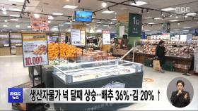 생산자물가 넉 달째 상승‥배추 36%·김 20% ↑