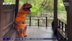 [와글와글] 야속한 빗줄기‥'공룡 이벤트' 불발 영상 눈길