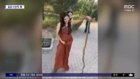 [와글와글] 결혼식장에 나타난 대형 뱀‥맨손 포획한 여성
