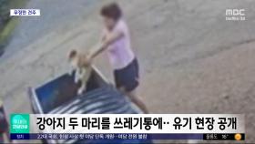 [와글와글] 강아지 두 마리를 쓰레기통에‥유기 현장 공개
