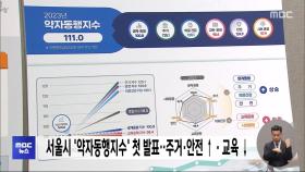 서울시 '약자동행지수' 첫 발표‥주거·안전↑ 교육·문화↓