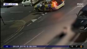 [와글와글] 농장 탈출해 도로 누빈 '소'‥경찰 과잉 대응 논란