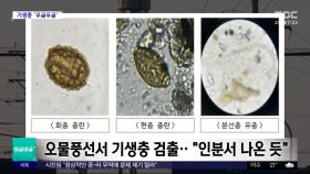 [와글와글 플러스] 북한 오물풍선에 기생충 '우글우글'