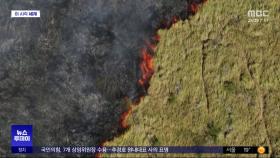 [이 시각 세계] 최대습지 브라질 판타나우, 서울 면적 10배 불타