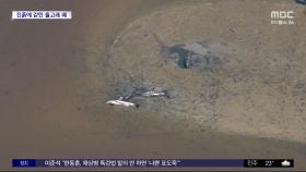 [와글와글] 진흙 위에 갇힌 돌고래 125마리
