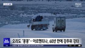 [이 시각 세계] 오리도 '꽁꽁'‥아르헨티나, 60년 만에 강추위 강타