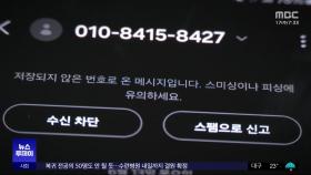 '스팸' 끊이지 않는 이유는‥'솜방망이' 과태료