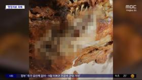 [와글와글] '구더기 통닭', 전문기관 검사 결과는?