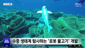 [이 시각 세계] 수중 생태계 탐사하는 '로봇 물고기' 개발