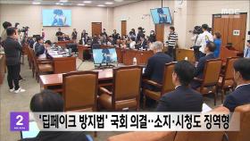 '딥페이크 방지법' 국회 의결‥소지·시청도 징역형