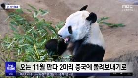 [이 시각 세계] 핀란드 동물원, 중국에 자이언트 판다 조기 반환