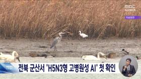 군산 야생조류 분변서 국내 첫 H5N3형 '고병원성 AI' 확인