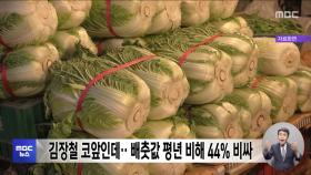 김장철 코앞인데‥ 배춧값 평년 비해 44% 비싸