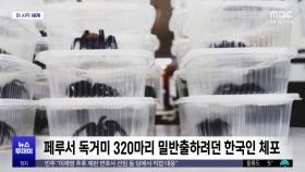 [이 시각 세계] 페루서 독거미 320마리 밀반출하려던 한국인 체포