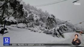 서울·경기 40cm 넘는 폭설‥곳곳 교통 통제