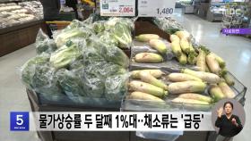 [간추린 경제] 물가상승률 두 달째 1%대‥채소류는 '급등'