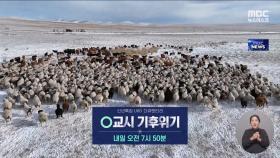 신년특집 UHD 다큐멘터리 〈0교시 기후위기〉 예고